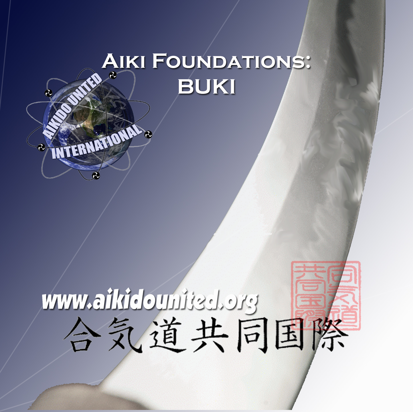 AikifoundationsBukiDisclabel